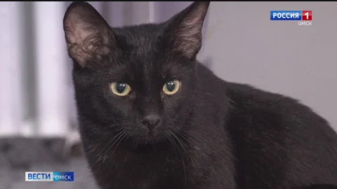 Главная аналитическая программа «События недели» готовится к эфиру