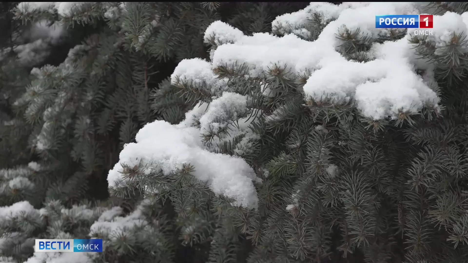 Серия атлантических циклонов идёт на Омскую область