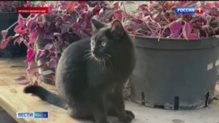 В Омске начали готовиться к новому цветочному сезону