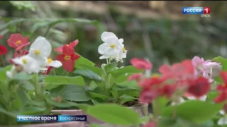 Дайджест новостей