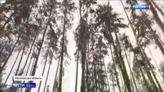 В подмосковной тайге прошли «холодные» тренировки экипажа перед полётом на МКС