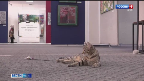 В Доме художника появились необычные сотрудники