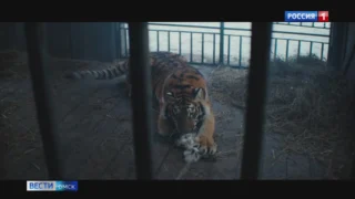 В широкий прокат вышел фильм «Красавица» режиссёра Антона Богданова