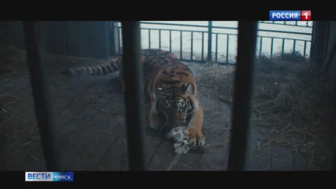 В широкий прокат вышел фильм «Красавица» режиссёра Антона Богданова