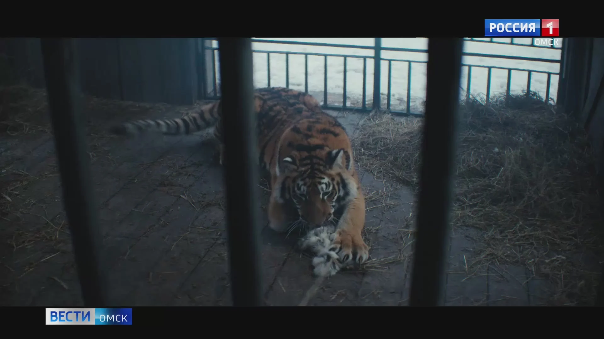 В широкий прокат вышел фильм «Красавица» режиссёра Антона Богданова