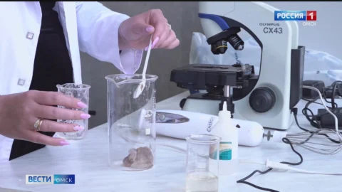 Омские ученые изобрели свой «эликсир молодости»