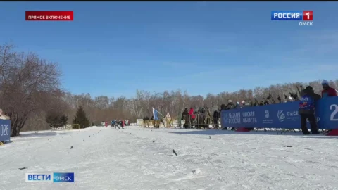 Омичи участвуют во Всероссийской массовой гонке «Лыжня России»