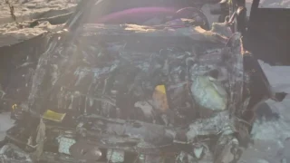 В Омской области произошло смертельное ДТП с лошадьми