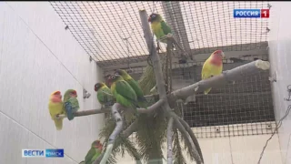 Профессиональный праздник сегодня отмечают те, кто наблюдает и изучает птиц