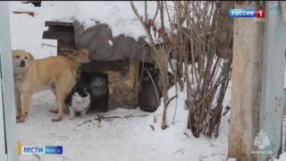 В Омской области продолжает действовать штормовое предупреждение