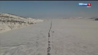 Холодный январь упростил работу Иркутским дорожникам