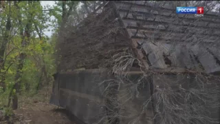 «Вести Сибирь», программа от 1 февраля 2026 года