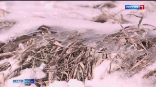 Метеорологи рассказали, когда в Омске начнёт таять снег