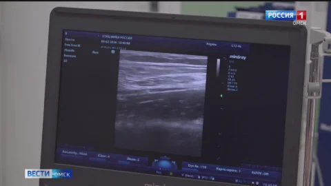 Участники конференции познакомились с опытом омских врачей