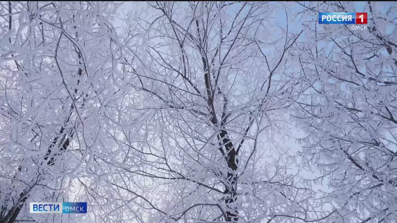 В Омской области спасли пропавшего в мороз мужчину