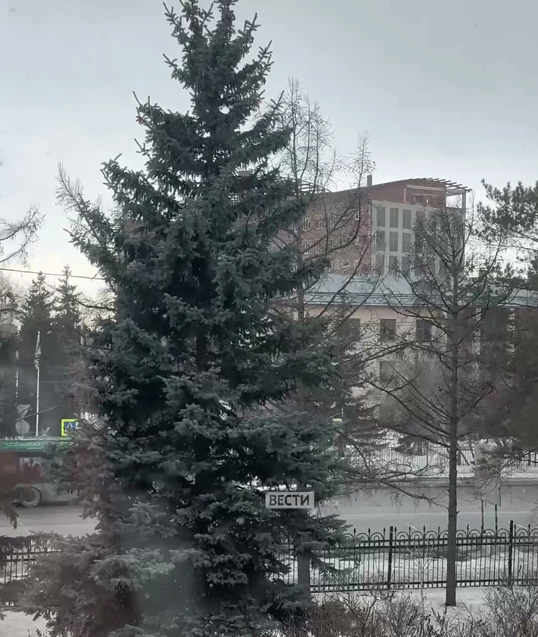 В Омске пошел первый весенний дождь