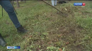 В Омске утвердили график субботников на 2026 год