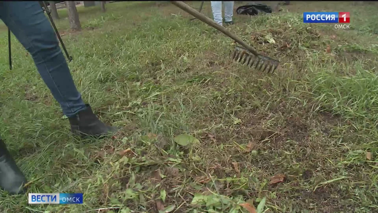 В Омске утвердили график субботников на 2026 год