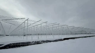 В Лузино продолжается строительство тепличного комплекса