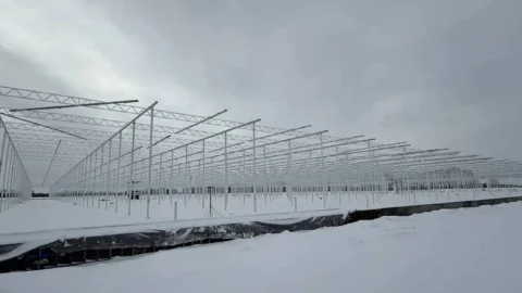 В Лузино продолжается строительство тепличного комплекса