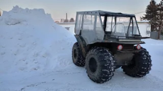 В Омский области завершили расследование дела о незаконной охоте на двух лосей