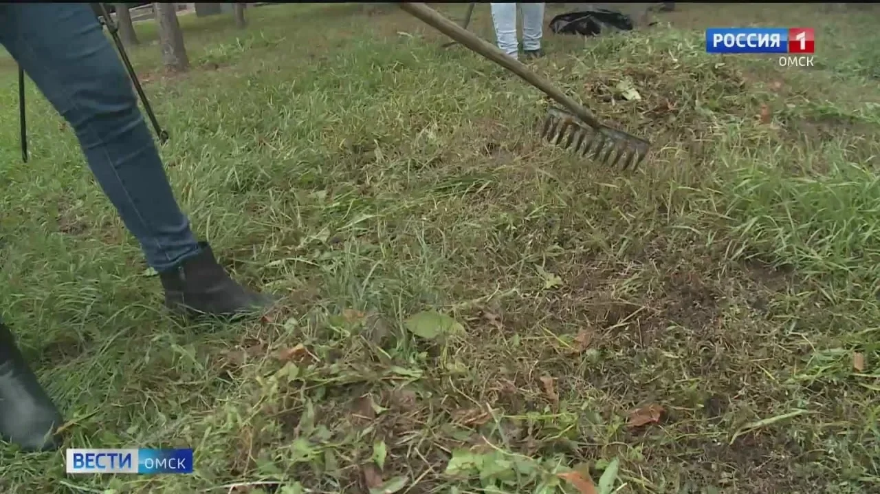 Весенний субботник в Омской области назначили на 18 апреля