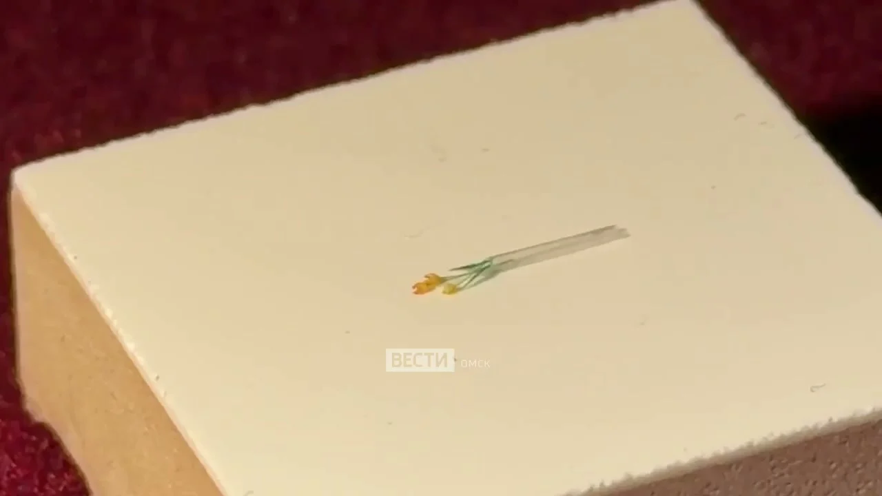 Омский микроминиатюрист Анатолий Коненко создал букет тюльпанов на кончике волоса