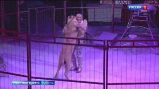 В рамках года Культурной столицы омичам представляют яркое шоу «Балаган» в цирке