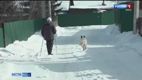 Владельцы жилых домов в садоводствах вынуждены платить дважды за вывоз мусора