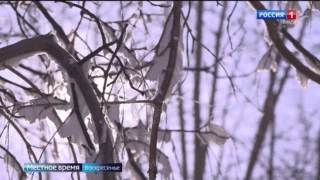 Дайджест новостей