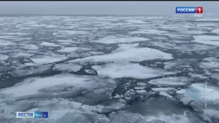 В Омске готовят студентов для работы на Северном морском пути