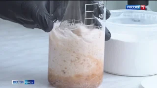 Омские ученые разработали гель для заживления ран