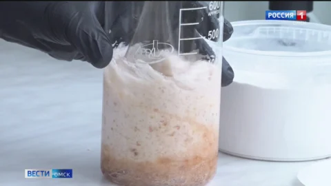 Омские ученые разработали гель для заживления ран