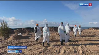 Омские ученые придумали эффективный способ борьбы с последствиями разлива нефти в Чёрном море