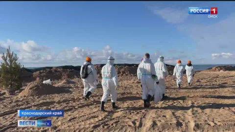 Омские ученые придумали эффективный способ борьбы с последствиями разлива нефти в Чёрном море