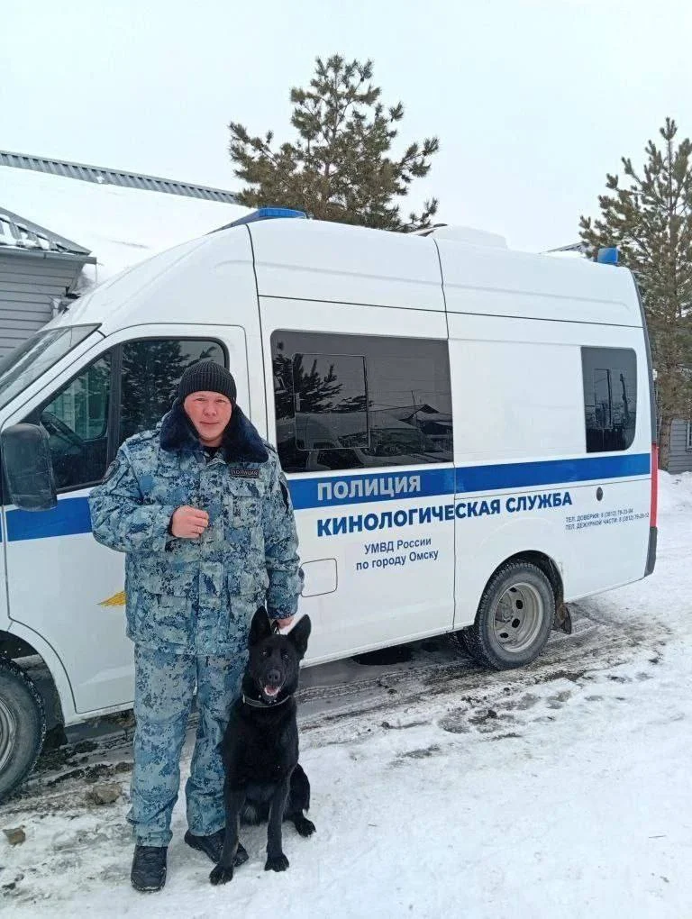 Четвероногий сотрудник полиции раскрыл кражу