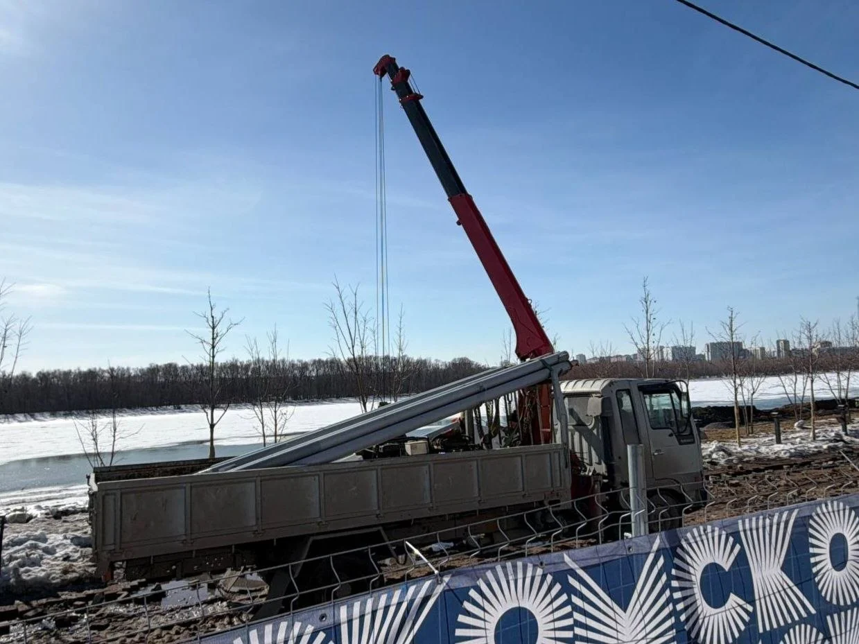 В Омске пересаживают краснолистные клены с Олимпийской аллеи