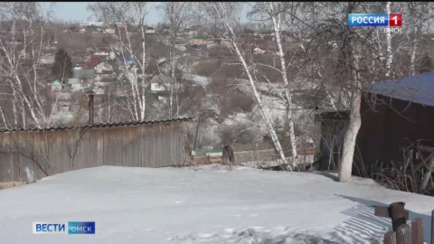 Непростая ситуация складывается в садоводствах Омской области с паводком