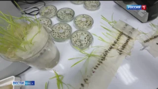 В Омске начали готовиться к посевной