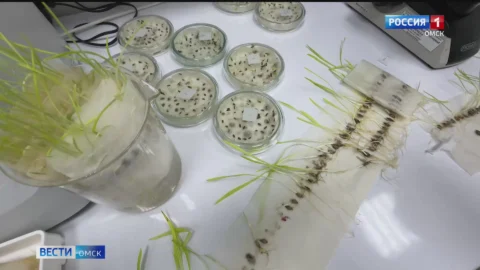 В Омске начали готовиться к посевной