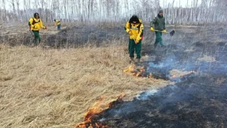 В Омской области добровольцы помогли в тушении ландшафтного пожара