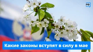 В мае начнут действовать сразу несколько новых законов