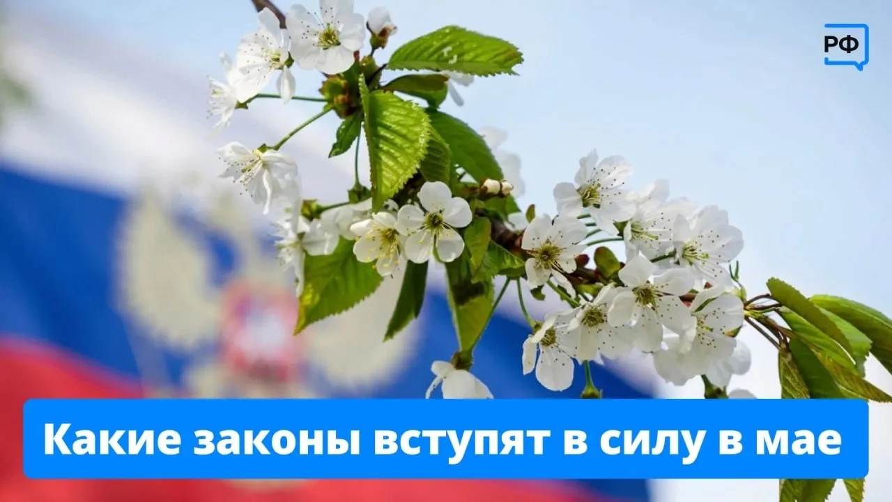 В мае начнут действовать сразу несколько новых законов