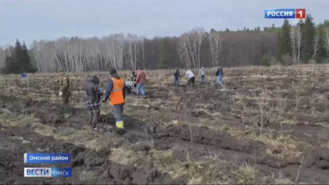 Омская область присоединилась к международной акции «Сад памяти» в преддверии Дня Победы