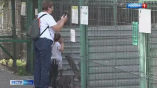 В Омске зоопарк закрыли на обработку от клещей