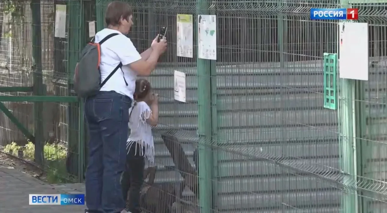 В Омске зоопарк закрыли на обработку от клещей