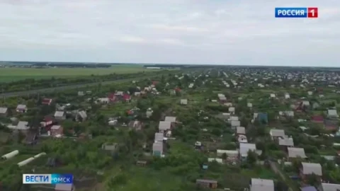 Мошенники создают поддельные сайты магазинов для дачников