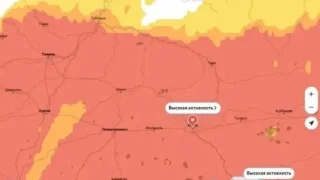 В Омске началось цветение березы