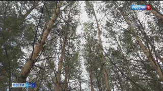 С 7 апреля в Омске вводят пожароопасный режим