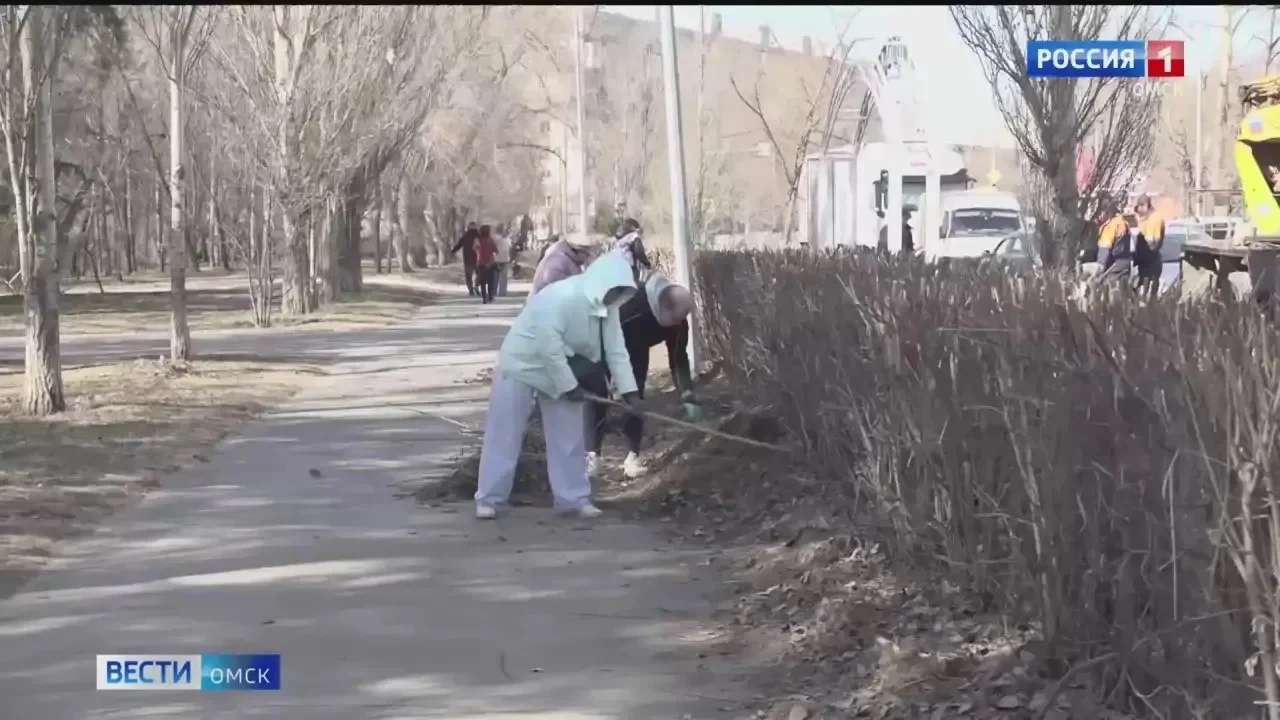 В Омской области продлили месячник по благоустройству